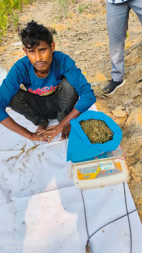 मौहापाली में गांजा बेचने की फिराक में घूम रहे युवक को चौकी खरसिया पुलिस ने पकड़ा, आरोपी से 1300 ग्राम गांजा जप्त….. 2 IMG 20240109 WA0134